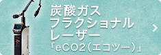 炭酸ガスフラクショナルレーザー「eCO2（エコツー）」