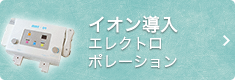 イオン導入エレクトロポレーション